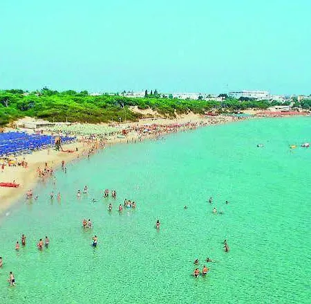 Barone Di Mare